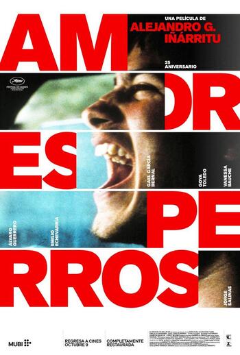 AMORES PERROS
